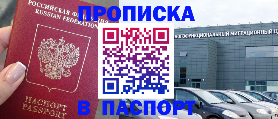 прописка для школы в Зеленогорске